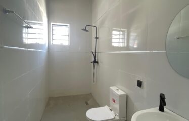 BRAND NEW 5 BEDROOM FULLY DETACHED DUPLEX WITH BQ and POOL