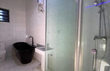 4 Bedroom Fully Detached Duplex with BQ