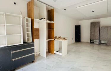 2/3 Bedroom Apartment plus Gym and Generator
