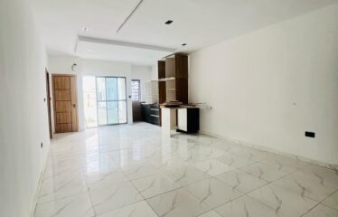 2/3 Bedroom Apartment plus Gym and Generator