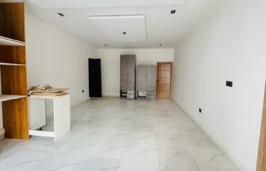 2/3 Bedroom Apartment plus Gym and Generator