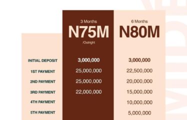 ARAMIDÉ – Your Freedom. Your Key. Your Own.