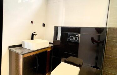 WELL BUILT SEMI DETACHED DUPLEX WITH BQ FOR SALE. IKOTA LEKKI, LAGOS