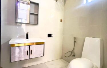 SEMI DETACHED DUPLEX WITH LUXURY INTERIOR, INVERTER AND BQ FOR SALE. CHEVRON LEKKI, LAGOS.