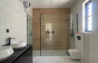 LUXURY WELL FINISHED FULLY DETACHED DUPLEX WITH SWIMMING POOL FOR SALE AT CHEVRON LEKKI LAGOS