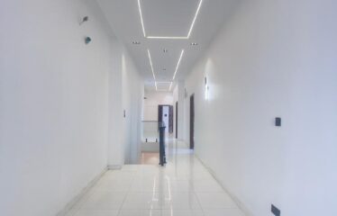 FULLY DETACHED DUPLEX WITH A SPACIOUS LIVING ROOM, SWIMMING POOL, TV CONSOLE AND BQ