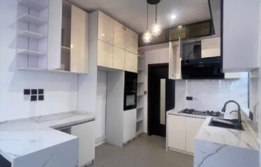 FULLY DETACHED DUPLEX WITH A SPACIOUS LIVING ROOM, TV CONSOLE AND BQ AT SANGOTEDO AJAH LAGOS.